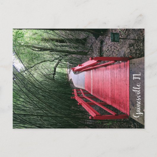 Aftermiddagzwering Briefkaart (Voorkant)