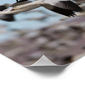 Afval in de Socorroskies Poster (Hoek)