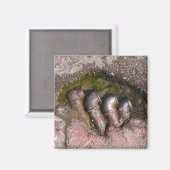 Afvoerbuizen Magneet (Voorkant / Achterkant)