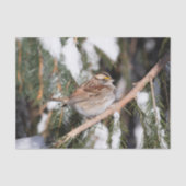 Afwerking op filiaal in pine tissuepapier (Voorkant)