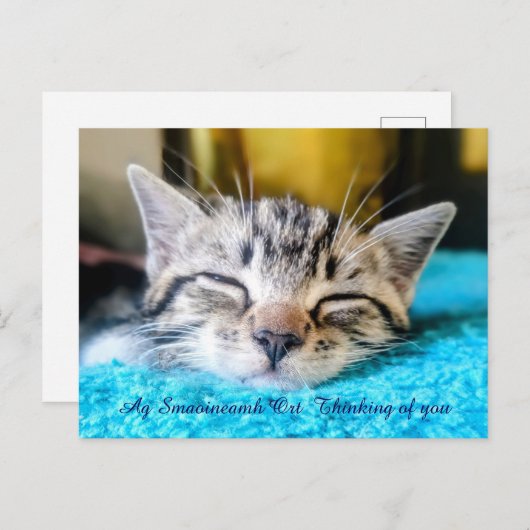 Ag Smaoineamh Ort Penser à vous carte postale (Devant / Derrière)