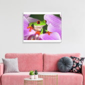 Agalychnis callidryas. canvas afdruk (Insitu (Woonkamer))