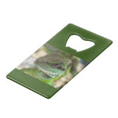 Agama, hagedis kredietkaart flessenopener (Achterkant Gekanteld)