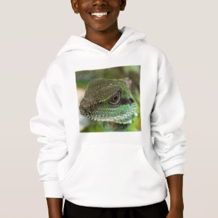 Agama, lézard