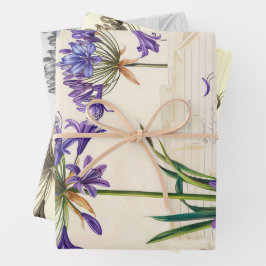 Agapanthus bloem Ephemera Collage Art Inpakpapier Vel
