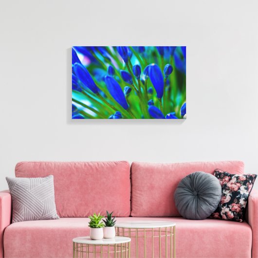 Agapanthus blue flower Canvas druk (Insitu (Woonkamer))