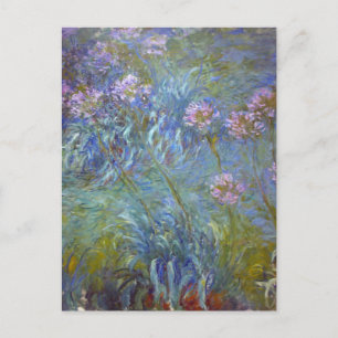 Agapanthus door Claude Monet Briefkaart