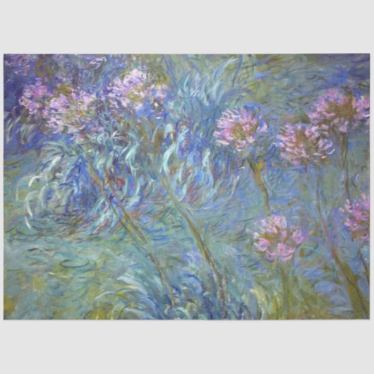 Agapanthus, Monet Tissuepapier (Voorkant)