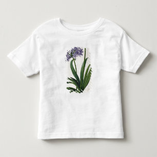 Agapanthus umbrellatus kinder shirts
