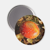 Agaric de volée Magnet (Recto/Verso)