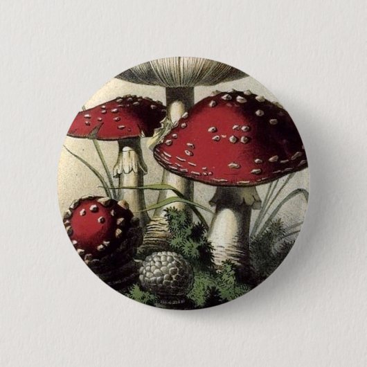 Agaricus Muscarius paddenstoel Ronde Button 5,7 Cm (Voorkant)