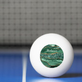 Agate Green Gold Glitter Jouw naam Ping Pong Ball (Net)