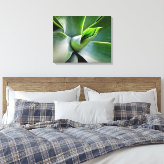 Agave Attenuata Canvas Afdruk (Insitu (Slaapkamer))