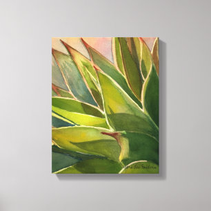 Agave attenuata waterverf door Debra Lee Baldwin Canvas Afdruk