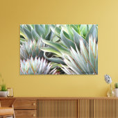 Agave 'Blue Glow', 'Blue Flame' canvas print (Insitu (Woonkamer))