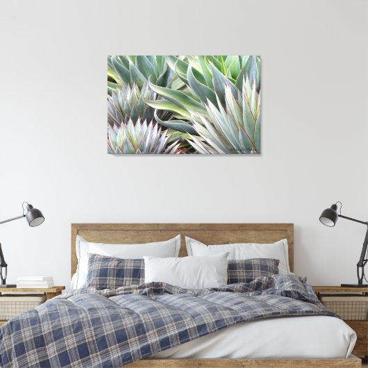 Agave 'Blue Glow', 'Blue Flame' canvas print (Insitu (Slaapkamer))