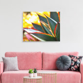 Agave Blue Glow sappige foto Debra Lee Baldwin Canvas Afdruk (Insitu (Woonkamer))