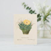  Agave Cactus Illustratie Briefkaart (Staand voorkant)