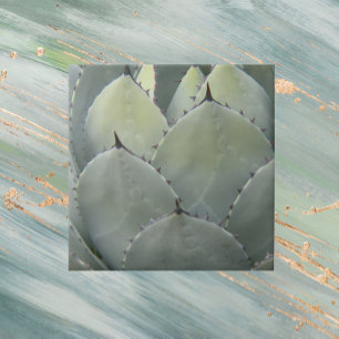 Agave Cactus Plant Southwestern Style Tegeltje