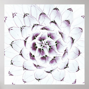 Agave Cactus Poster/Afdruk Poster
