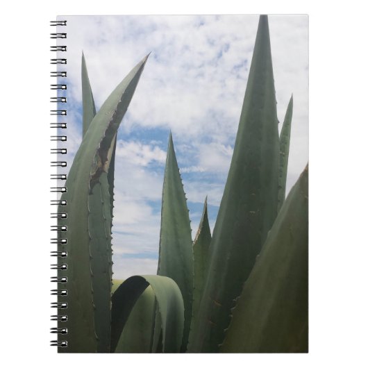 Agave Clouds Notitieboek (Voorkant)
