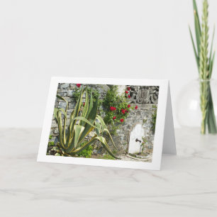 AGAVE EN ROZEN KAART