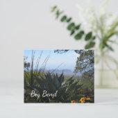 Agave en wilde bloemen, Big Bend National Park Briefkaart (Staand voorkant)