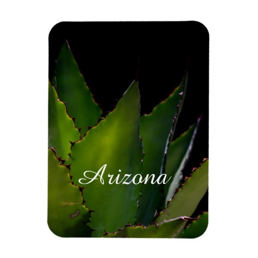 Agave glow Arizona Magneet (Verticaal)