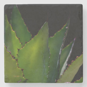 Agave glow stenen onderzetter