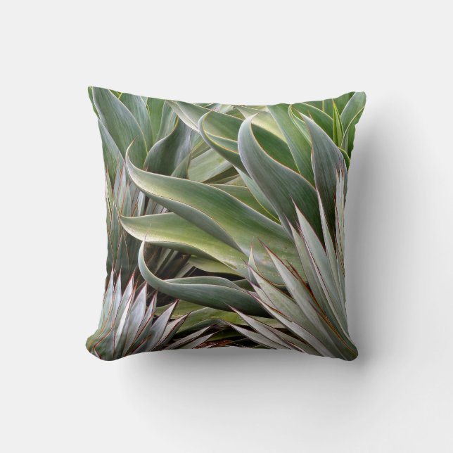 Agave kussen van Debra Lee Baldwin (Voorkant)