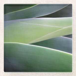 Agave Leaves Glazen Onderzetter