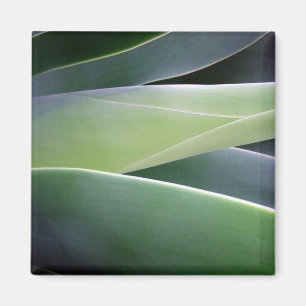 Agave Leaves Magneet