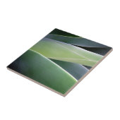 Agave Leaves Tegeltje (Zijkant)