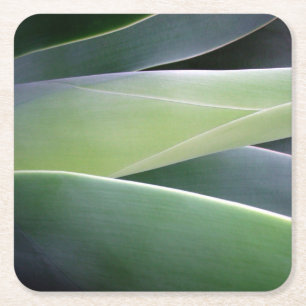 Agave Leaves Vierkante Kartonnen Onderzetter