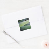 Agave Leaves Vierkante Sticker (Envelop)