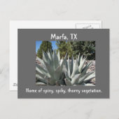 Agave Marfa, Texas Briefkaart (Voorkant / Achterkant)