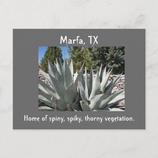 Agave Marfa, Texas Briefkaart (Voorkant)