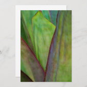 Agave Plant Detail Bedankkaart (Voorkant / Achterkant)