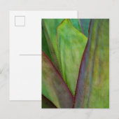 Agave Plant Detail Briefkaart (Voorkant / Achterkant)