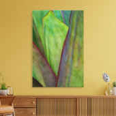 Agave Plant Detail Canvas Afdruk (Insitu (Woonkamer))