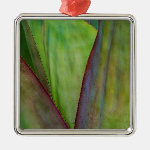 Agave Plant Detail Metalen Ornament