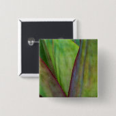 Agave Plant Detail Vierkante Button 5,1 Cm (Voorkant /achterkant)