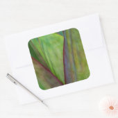 Agave Plant Detail Vierkante Sticker (Envelop)