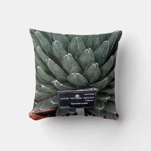Agave Plant Foto Kussen 41 cm x 41 cm