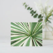 Agave Plant Green en White Striped Briefkaart (Staand voorkant)