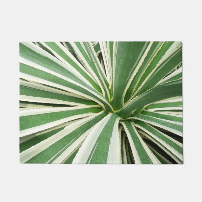 Agave Plant Green en White Striped Deurmat (Voorkant)