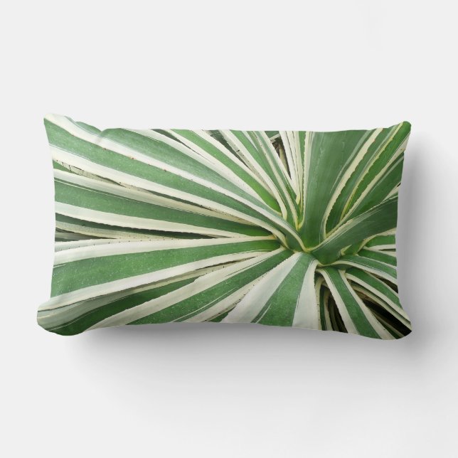 Agave Plant Green en White Striped Kussen (Voorkant)