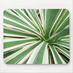 Agave Plant Green en White Striped Muismat