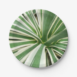 Agave Plant Green en White Striped Papieren Bordje