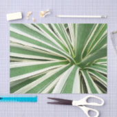 Agave Plant Green en White Striped Tissuepapier (Craft)